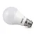 prolite-led-gls-site-light.webp