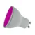 prolite-magenta-gu10-led-bulb.webp