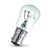pygmy-incandescent-bulb-sbcs.webp