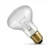 r80-es-reflector-bulbs-warm-white.webp