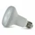 r80-led-reflector-bulb-warm-white-120-degree-beam.webp