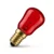 red-pygmy-ses-incandescent-bulb.webp