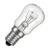 ses-incandescent-pygmy-light-bulb.webp