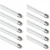 t5-fluorescent-tube-light-cool-white.webp